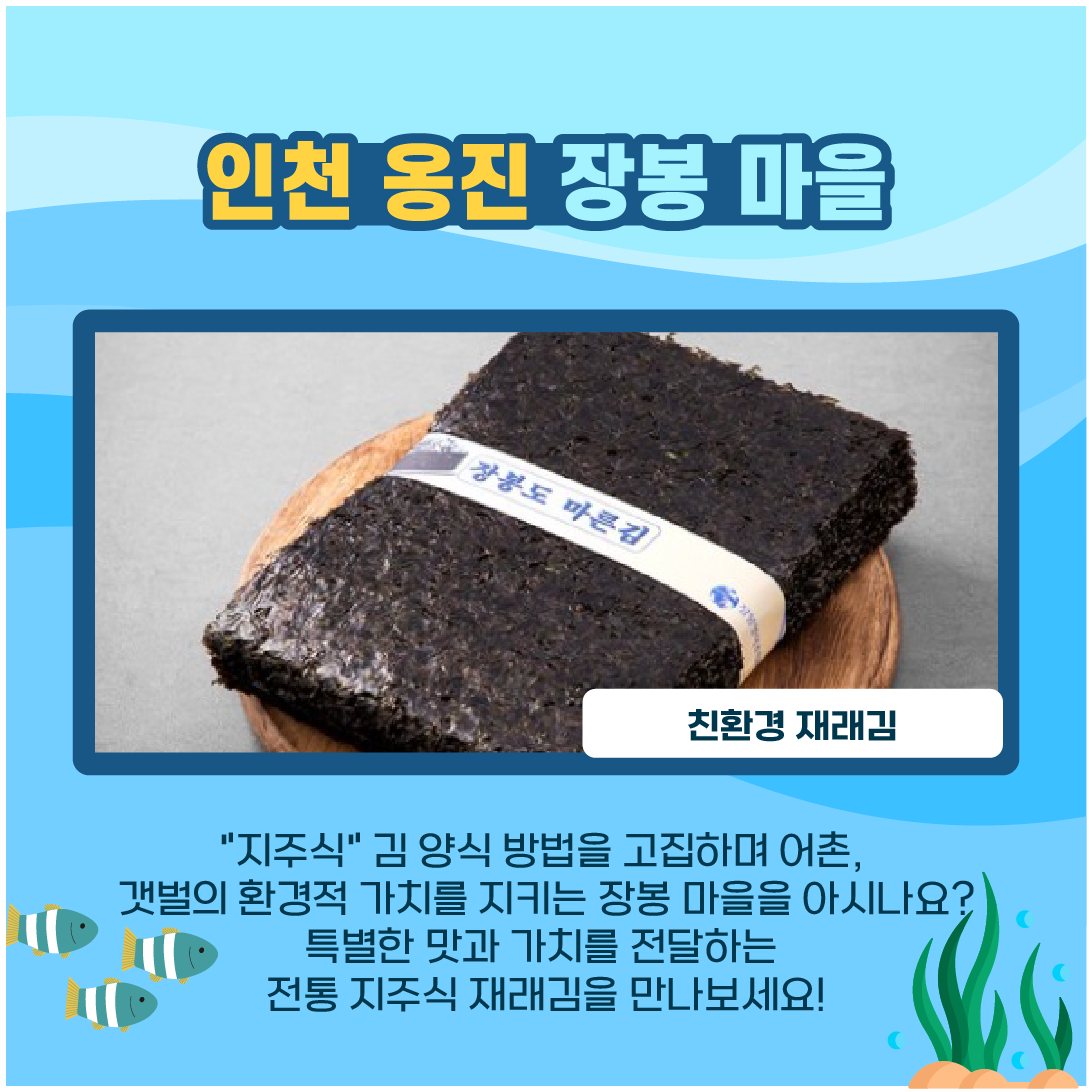 인천 옹진 장봉 마을 친환경 재래김. '지주식' 김 양식 방법을 고집하며 어촌, 갯벌의 환경적 가치를 지키는 장봉 마을을 아시나요? 특별한 맛과 가치를 전달하는 전통 지주식 재래김을 만나보세요!
