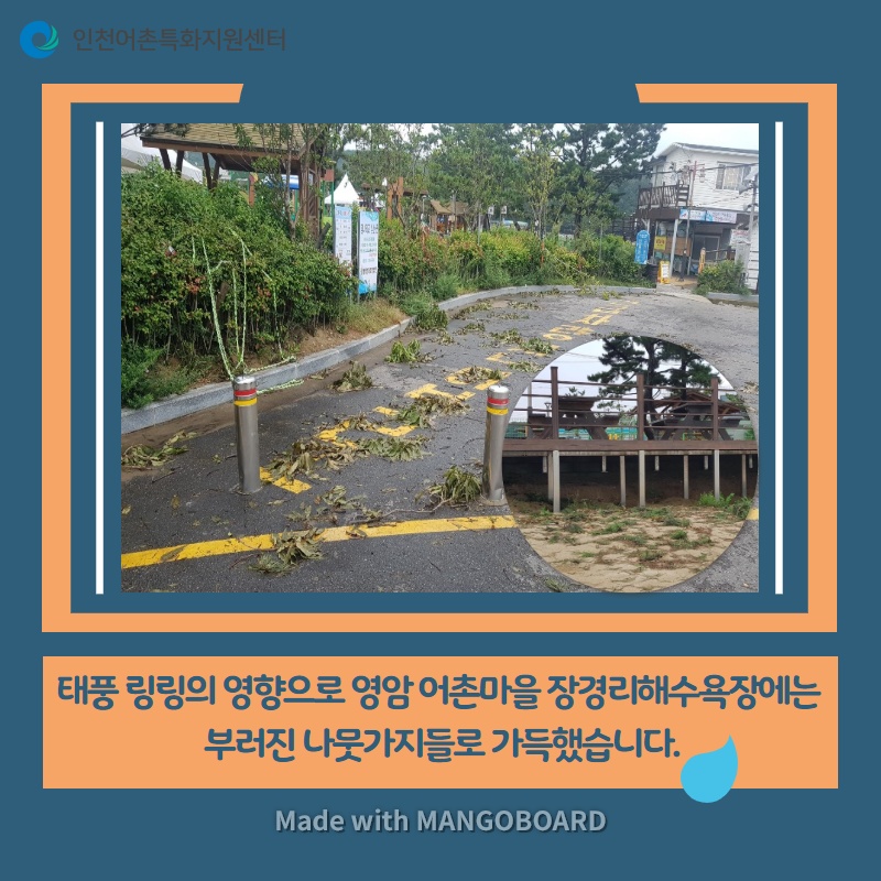 태풍 링링의 영향으로 영암 어촌마을 장경리해수욕장에는 부러진 나뭇가지들로 가득했습니다.